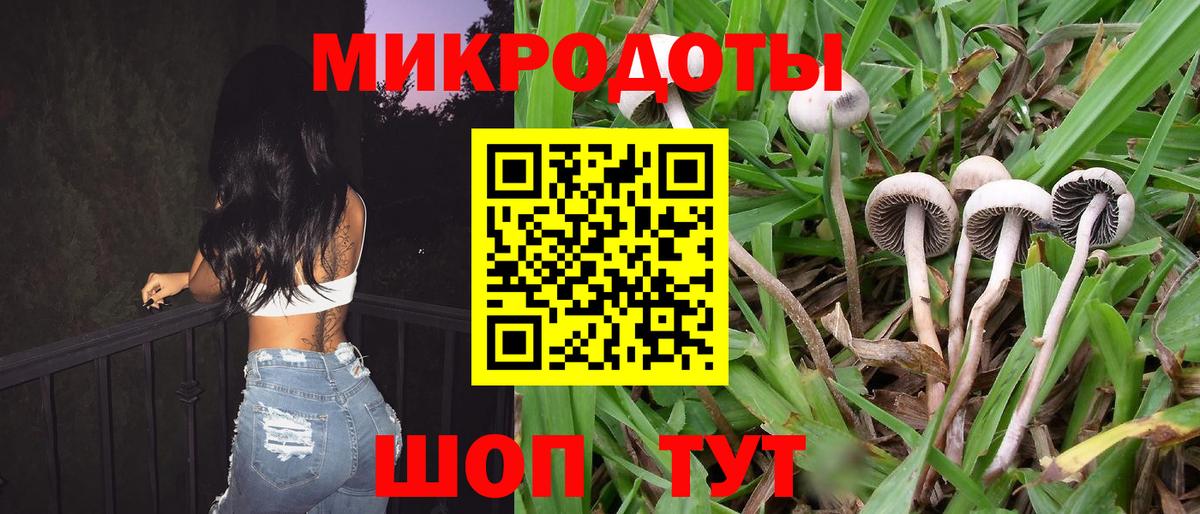 магазин продажи   Галлюциногенные грибы MAGIC MUSHROOMS  Вход с VPN  Галлюциногенные грибы ЛСД  Избербаш 