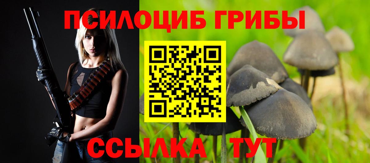 Псилоцибиновые грибы Psilocybine cubensis Избербаш